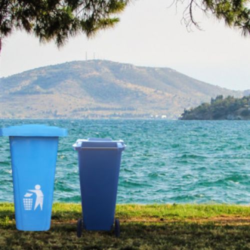 Chính sách thanh toán